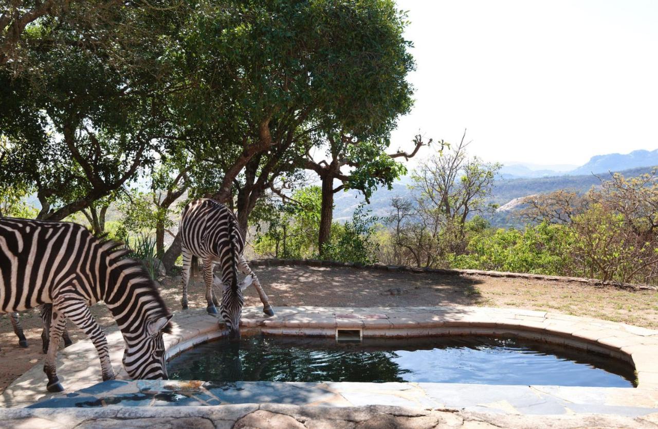 Villa Tomjachu Bush Retreat à Mbombela Extérieur photo